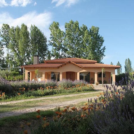 Casona Aventurados Villa Lujan de Cuyo Eksteriør bilde