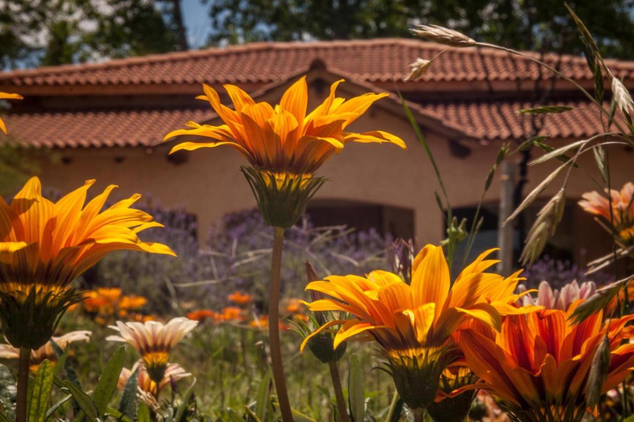 Casona Aventurados Villa Lujan de Cuyo Eksteriør bilde