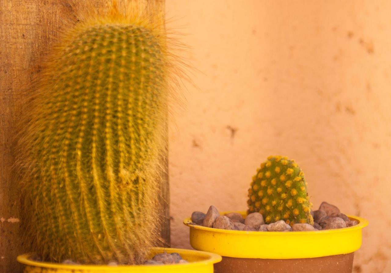 Casona Aventurados Villa Lujan de Cuyo Eksteriør bilde